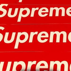 Meet your Posher, Callie